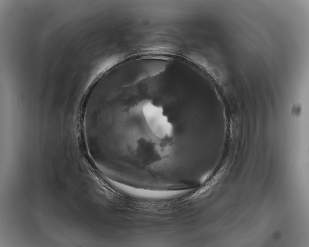 X0000099291405200805090919