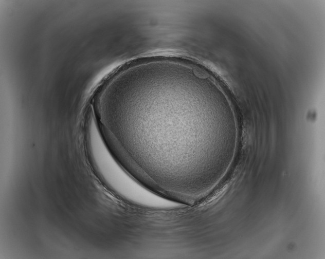 X0000099291406200805090919