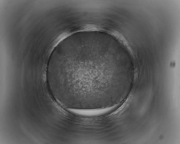 X0000099291409200805090919