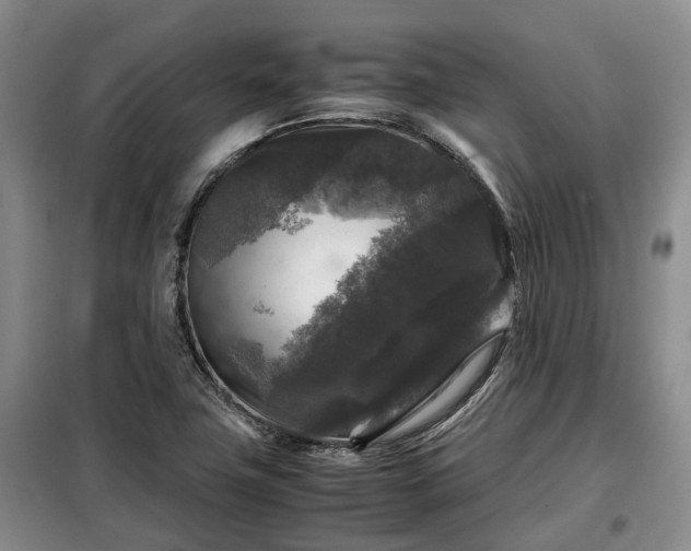 X0000099291411200805090919