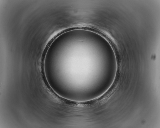 X0000099291412200805090919