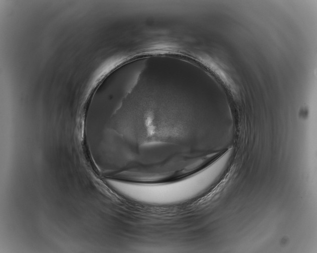 X0000099291413200805090919