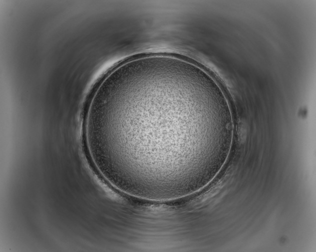 X0000099291416200805090919