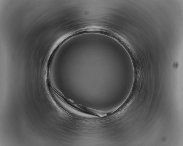 X0000099291418200805090919