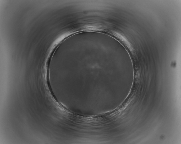X0000099291419200805090919