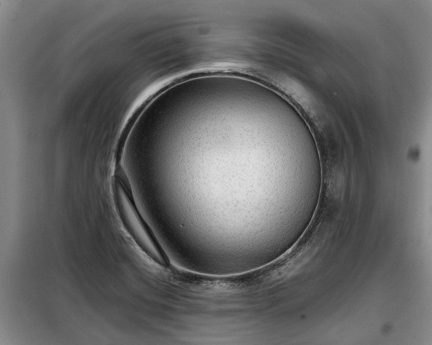 X0000099291420200805090919