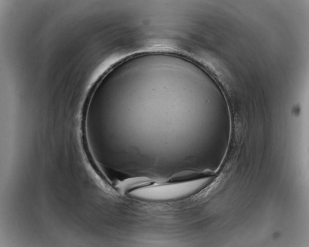 X0000099291422200805090919