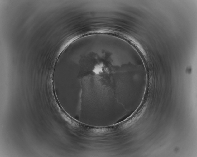 X0000099291425200805090919