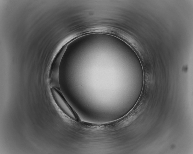 X0000099291426200805090919