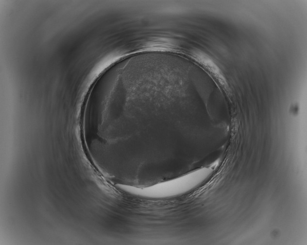 X0000099291427200805090919