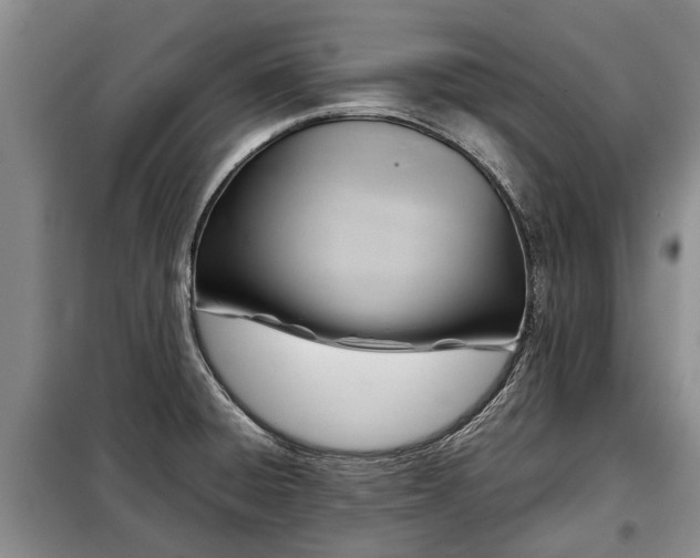 X0000099291428200805090919