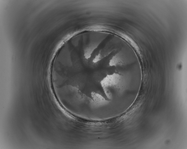 X0000099291429200805090919