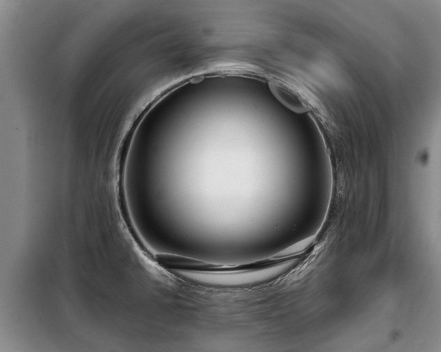 X0000099291430200805090919