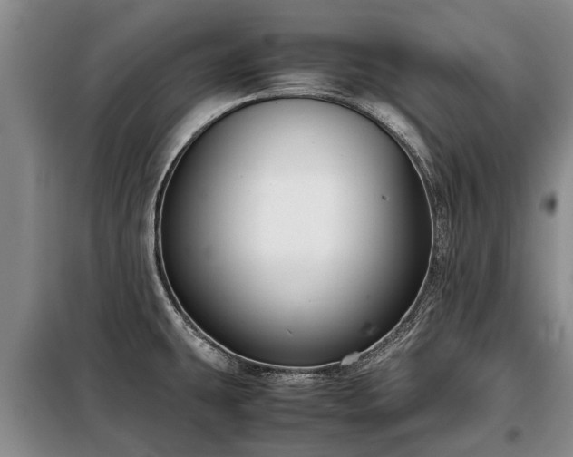 X0000099291431200805090919