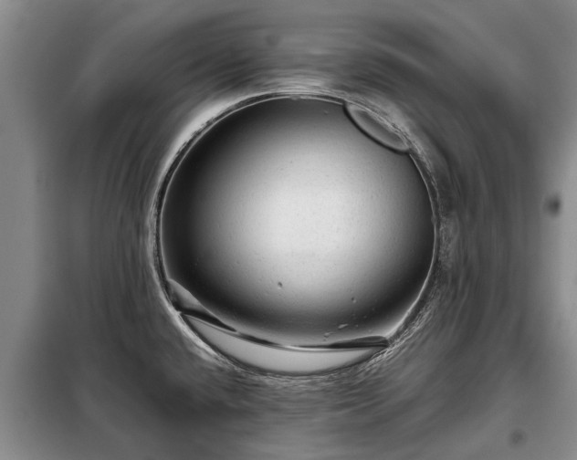 X0000099291432200805090919