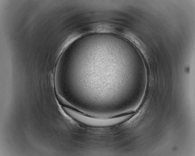 X0000099291433200805090919