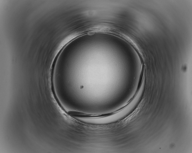X0000099291434200805090919