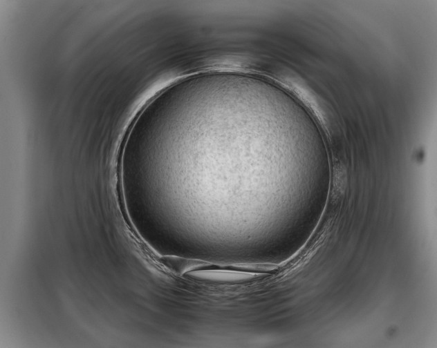 X0000099291435200805090919