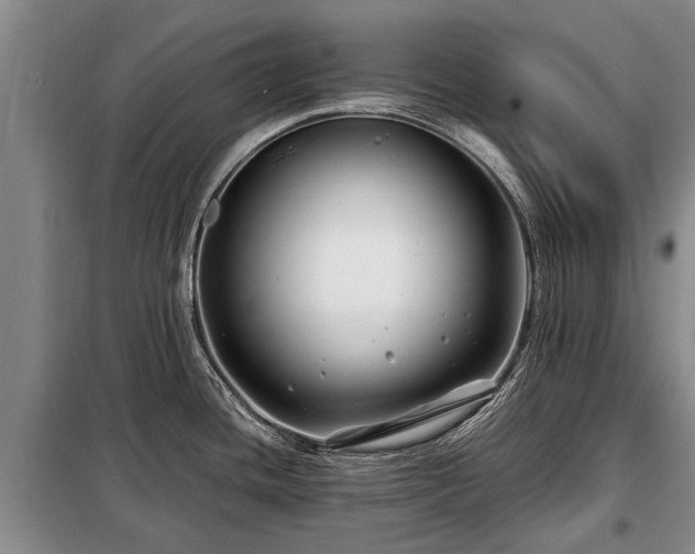 X0000099291436200805090919