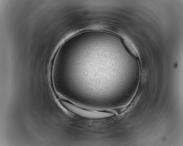 X0000099291437200805090919