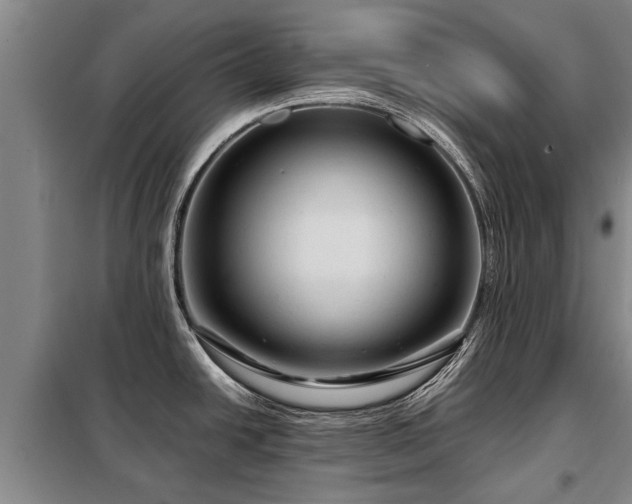 X0000099291438200805090919