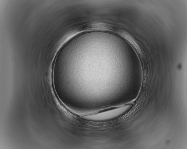 X0000099291439200805090919