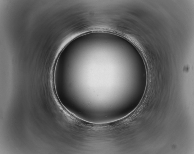 X0000099291440200805090919
