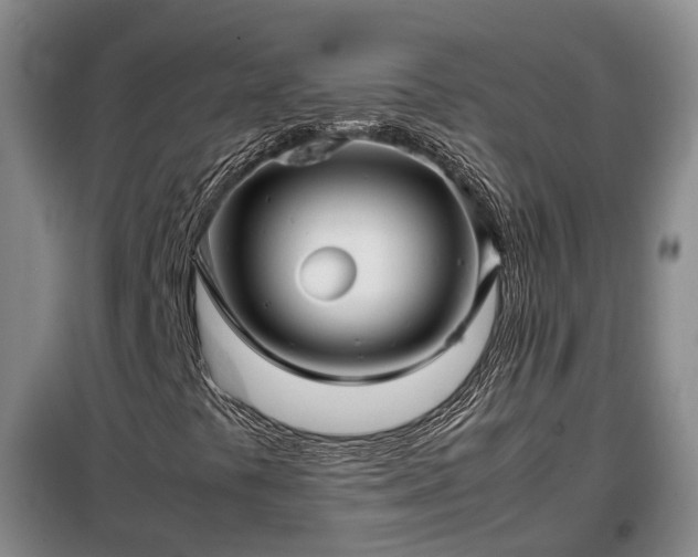 X0000099291441200805090919