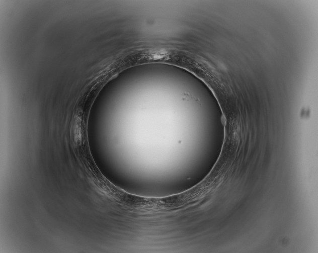 X0000099291442200805090919