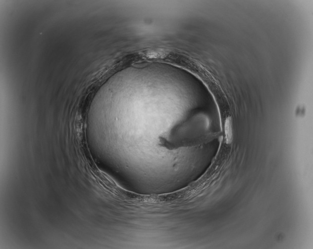 X0000099291443200805090919