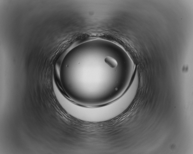 X0000099291444200805090919