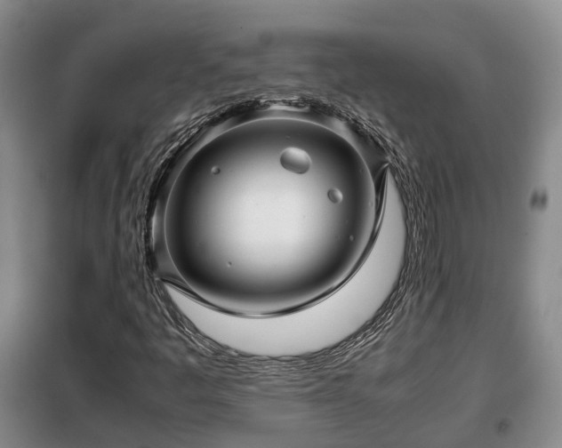 X0000099291445200805090919