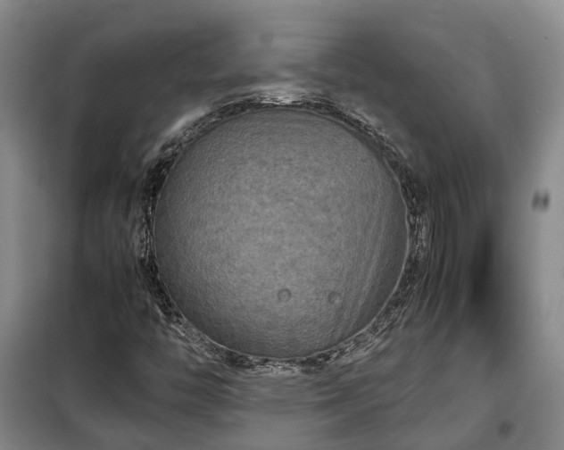 X0000099291446200805090919