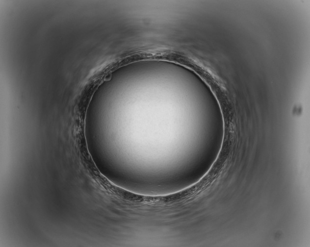 X0000099291447200805090919