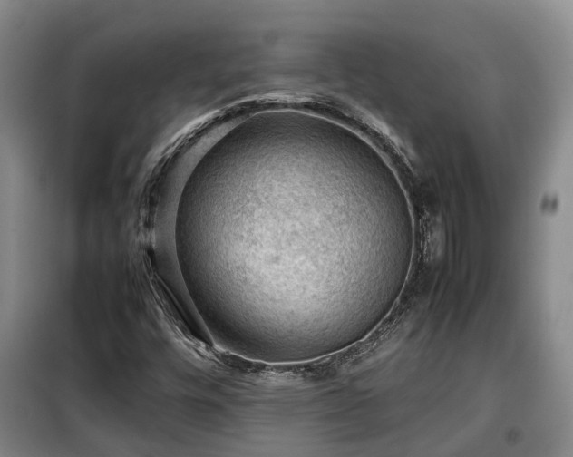 X0000099291448200805090918