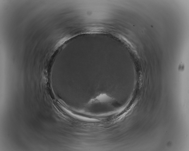 X0000099291449200805090918