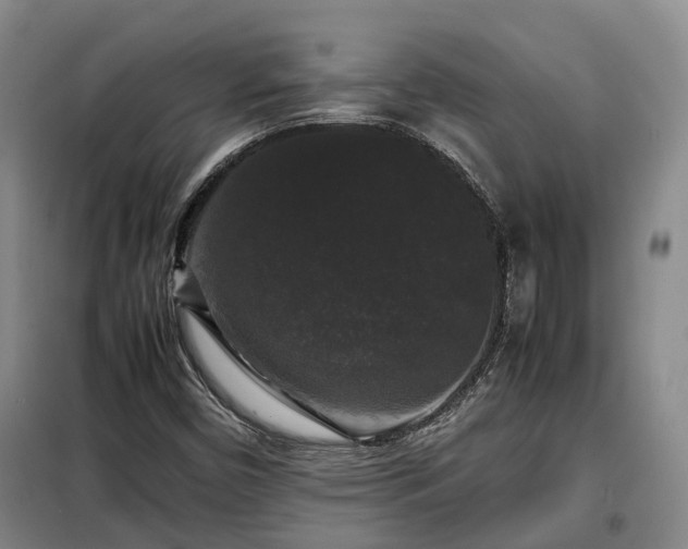 X0000099291450200805090918