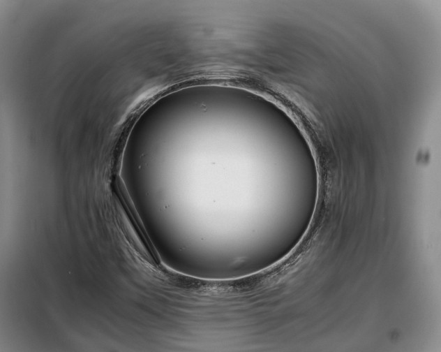 X0000099291451200805090918