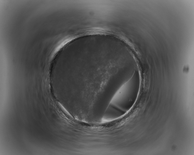 X0000099291453200805090918