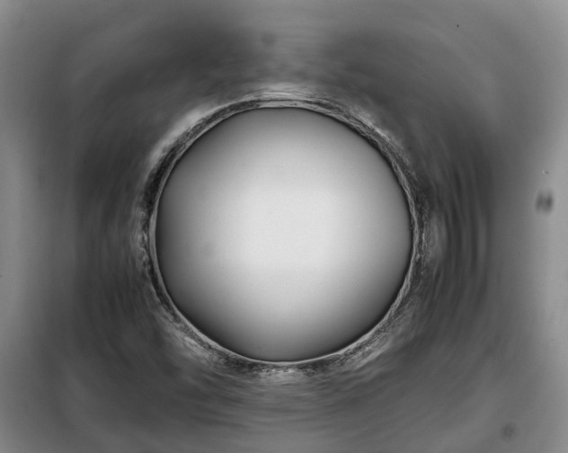X0000099291454200805090918