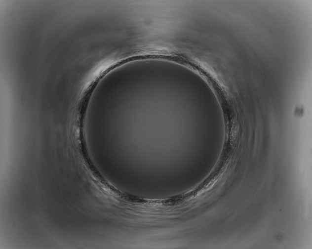 X0000099291455200805090918