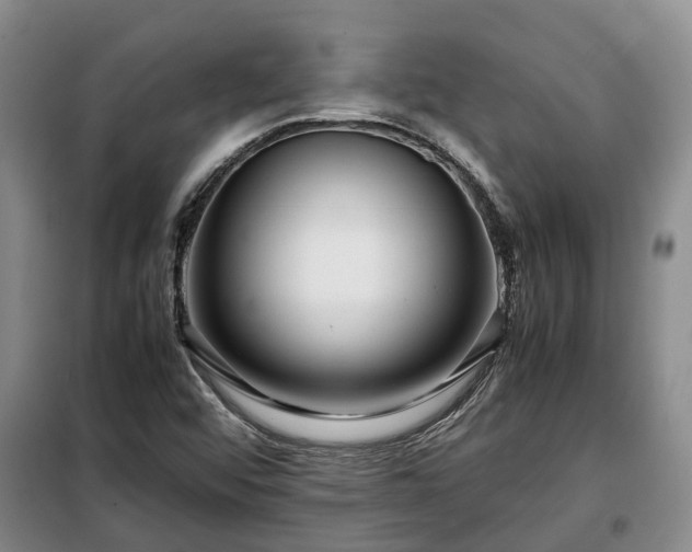 X0000099291456200805090918