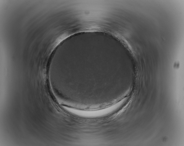 X0000099291457200805090918