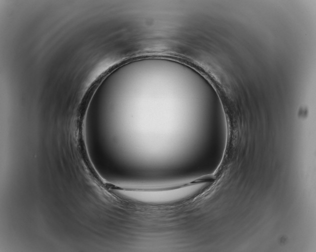 X0000099291458200805090918