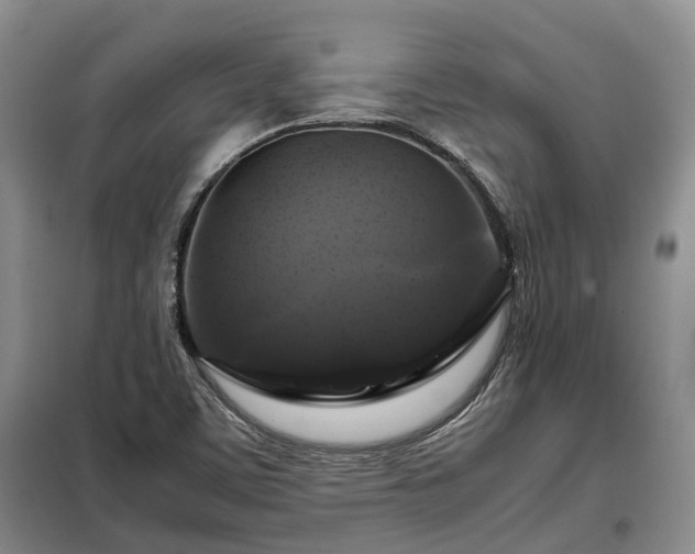X0000099291459200805090918