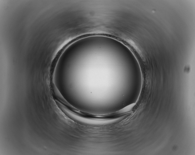 X0000099291460200805090918