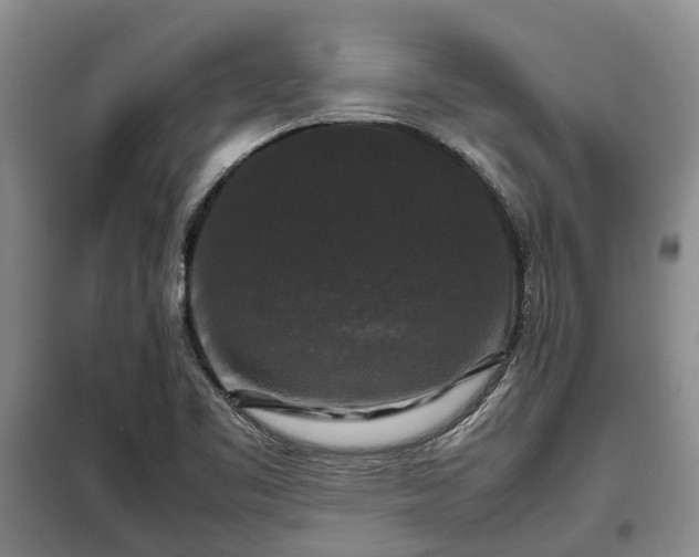 X0000099291461200805090918