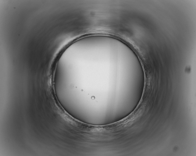 X0000099291462200805090918
