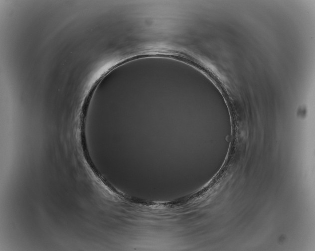 X0000099291463200805090918