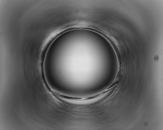 X0000099291464200805090918